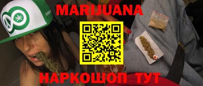прущие крисы Камышлов