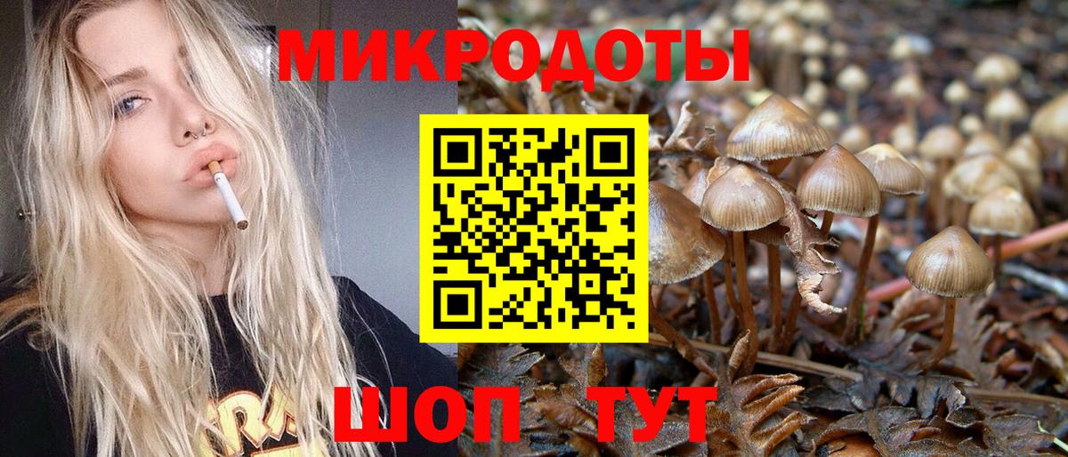 Псилоцибиновые грибы мухоморы  Вход с VPN  Карачаевск 