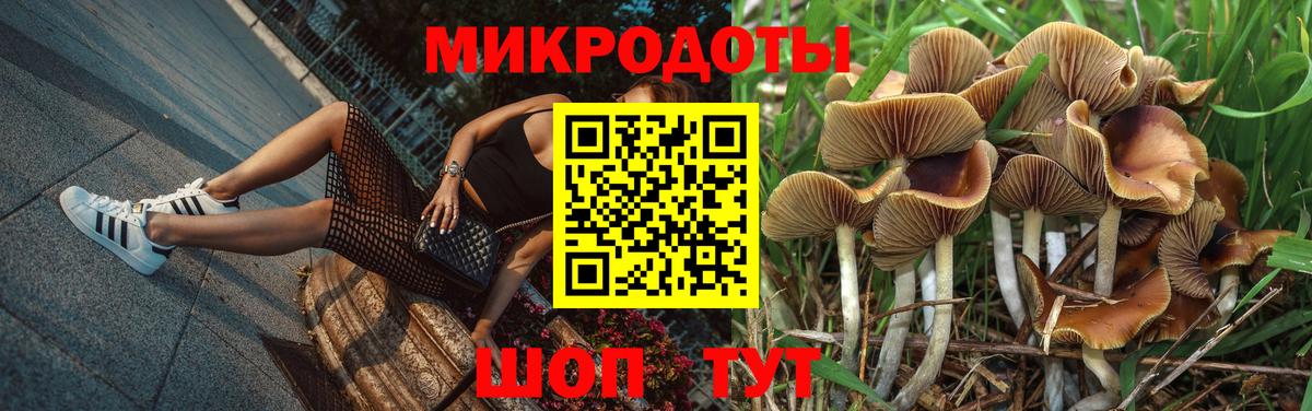 Галлюциногенные грибы GOLDEN TEACHER Карачаевск