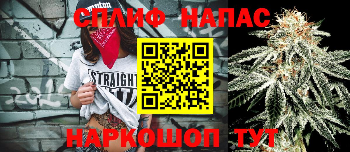 Марихуана VHQ  Вход с VPN  Бошки марихуана THC 21%  Карачаевск  МАРИХУАНА план  Конопля семена 